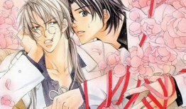 耽美纯肉动漫,耽美纯肉动漫的感官盛宴